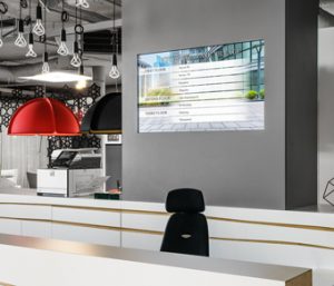 Professional Display